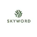 Skyword